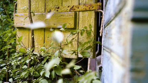 Opened exterior frame of a window Video stock 94433985