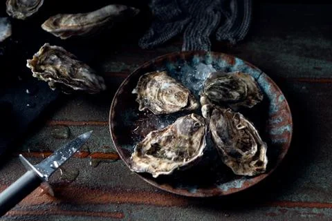 Opened fresh oysters on a dark background, a knife and water drops. Rostik st Fotos de archivo