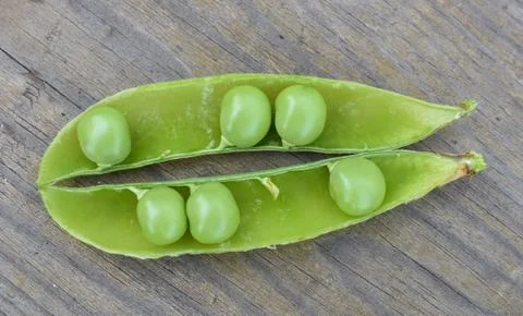 Opened green pod with peas inside close-up Stock Photos