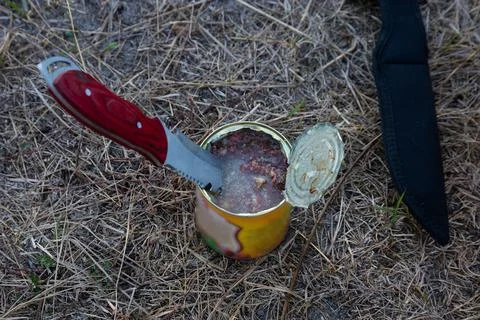 Opened with a knife, a can of canned beef. The main travel food ingredient. Stock Photos
