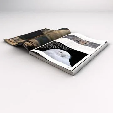 Opened Magazine Book 3D Model