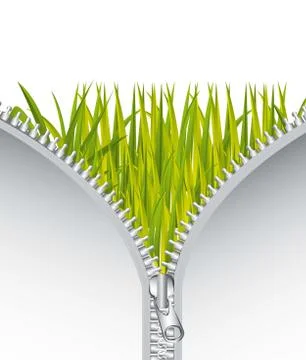 Opened metallic zipper over grass background. vector Illustrazione stock