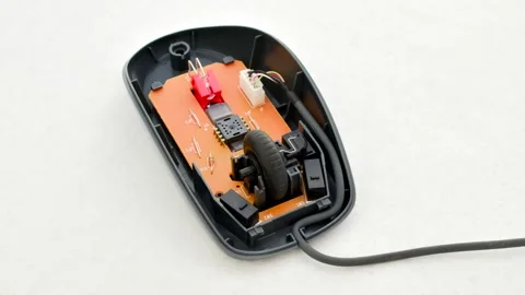 Opened mouse, revealing its intricate internal engineering, perfect for tec.. Stock Footage 260822074