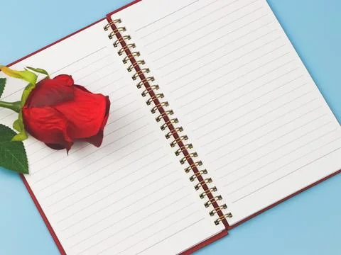 Opened notebook or diary with red rose on blue background. Valentine's day .. Stock Photos
