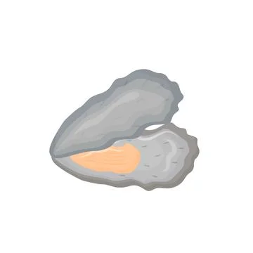 Opened oyster shell cartoon vector illustration イラスト素材