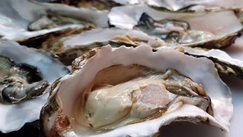 Opened oysters and cleaned from the sand Stock Footage 156874022