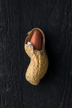Opened Peanut Shell Stock Photos