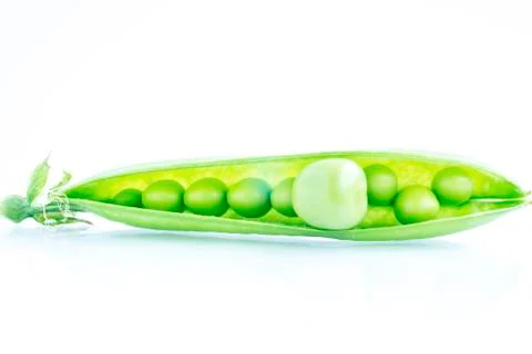 Opened pod full of peas 스톡 사진