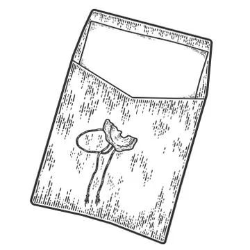 Opened retro envelope with blank sheet of paper. Sketch scratch board imitation. Stock Illustration