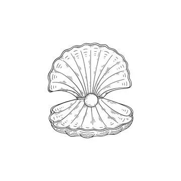 Opened sea shell with pearl inside in monochrome sketch style, vector Stock Illustration