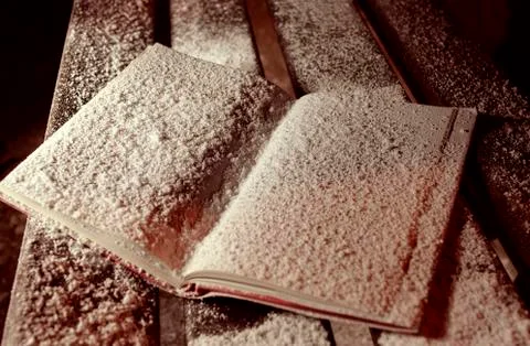 The opened snowbound book on the banch in the winter park Stock Photos