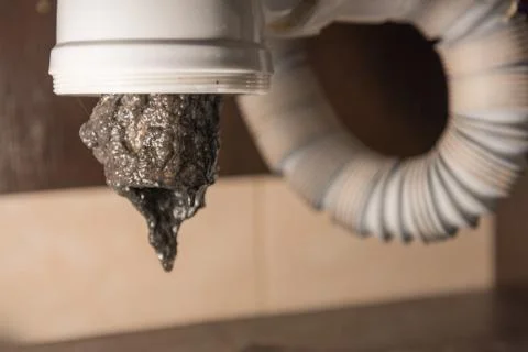 Opened the trap, which was clogged. There is a lot of dirt and black algae in Stock Photos