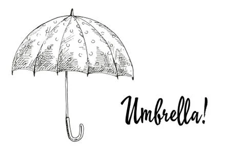 Opened umbrella contoured. Vector Stock Illustration