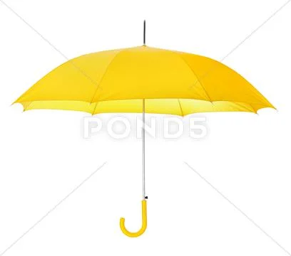 Opened umbrella Stock Photos