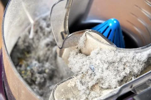 Opened vacuum brokencleaner container and filter with heap of dirty dust Foto stock