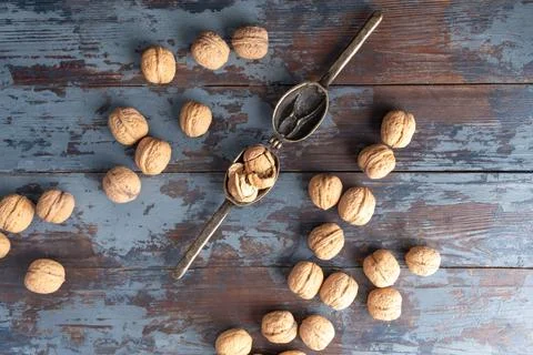 Opened vintage bronze nutcracker with a chopped nut inside, surrounded by stu 写真素材