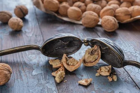 Opened vintage bronze nutcracker with cracked walnut inside on a textured woo Stock Photos