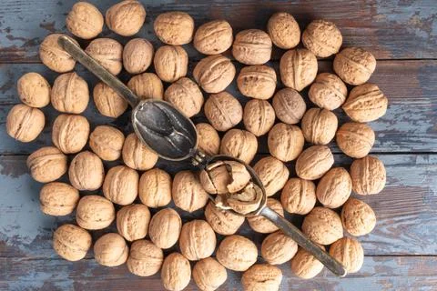 Opened vintage bronze nutcracker with cracked walnut inside on a scattering o 写真素材