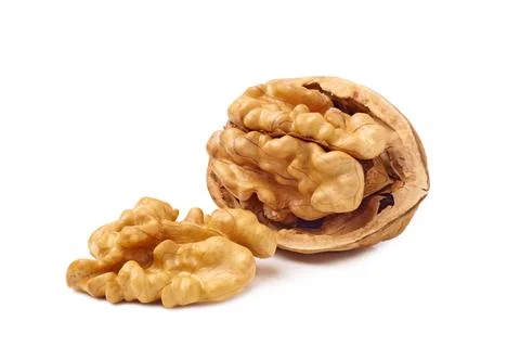 Opened walnut and kernel isolated on white Stock Photos