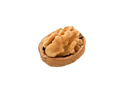 Opened walnut and kernel isolated on white Stock Photos