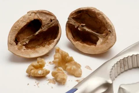 Opened walnut with nutcracker Stock Photos