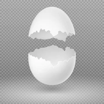 Opened white egg with broken shell isolated vector illustration Stock Illustration