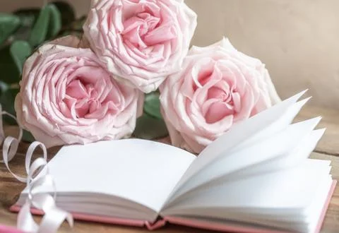 Opened white empty blank notepad and pink roses on light neutral background.. Stock Photos