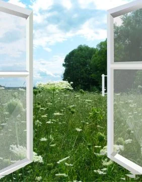 Opened window to the summer field Illustration