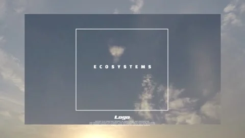 The Opener for After Effects Catálogo de After Effects