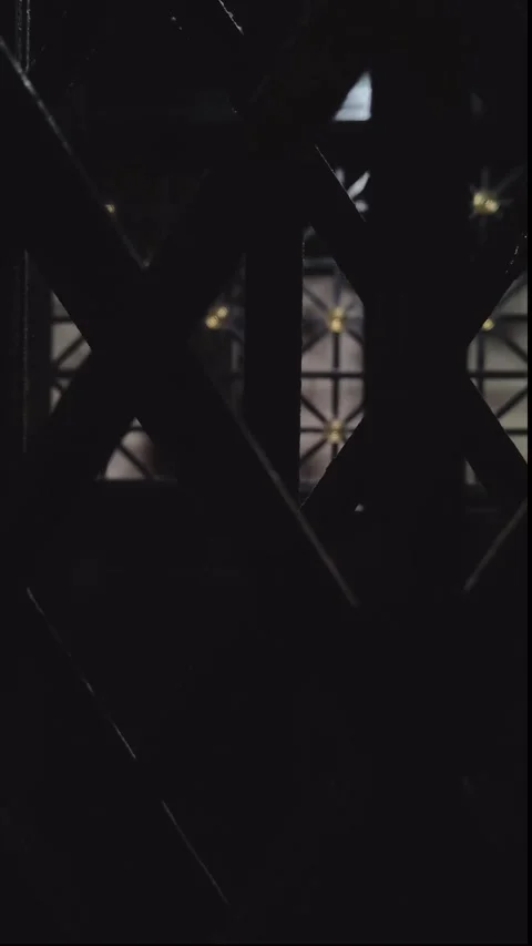 Opening of antique elevator gate in low light Stock Footage 344996351