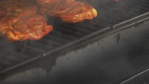 Opening barbeque grill cover Stock Footage 248301186