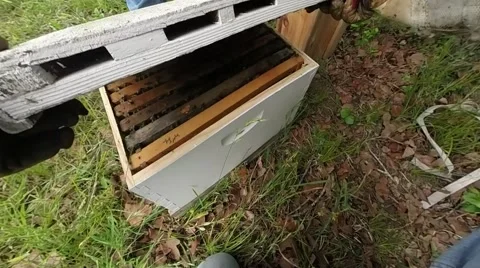 Opening Bee hive for the first time Stockbeeldmateriaal 42115379