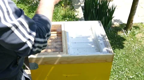 Opening the bee Hive Stock Footage 50869363