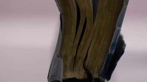 Opening a Bible 스톡 동영상 130438544