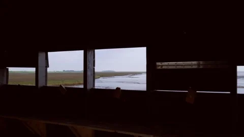 Opening bird hide shutter revealing scenic coastal wetland landscape Видео 315339847