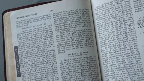 Opening to the book of Deuteronomy Chapter 31. Old Testament, Holy Bible. Video stock 334313367