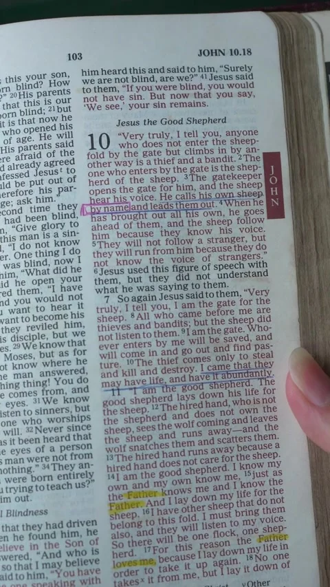 Opening to the book of John chapter 10 verse 10 of the New Testament. 動画素材 342011385