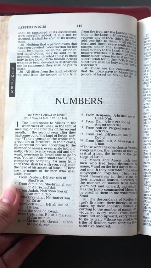 Opening to the Book of Numbers of the Old Testament in the Holy Bible. Stock Footage 339042796