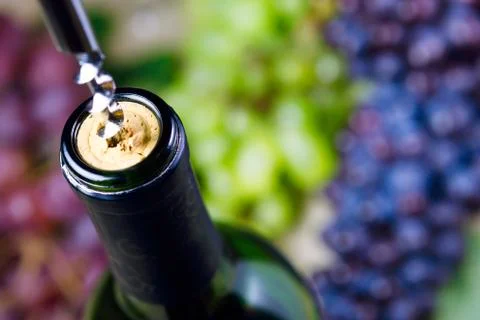 Opening of bottle of wine with corkscrew Foto stock