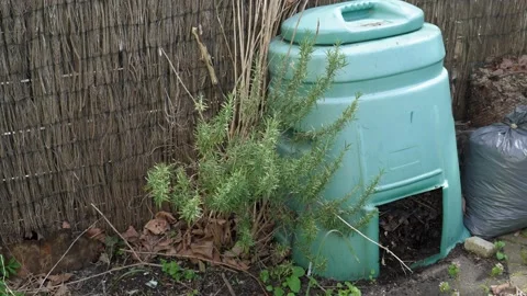 Opening bottom of the compost bin to obtain nutrient-rich organic vermicompost Stock Footage 239991441