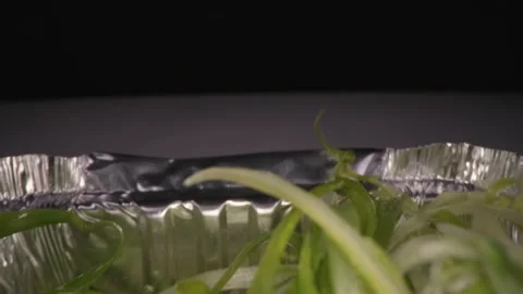 Opening a box of shredded scallion 库存影片 154191665