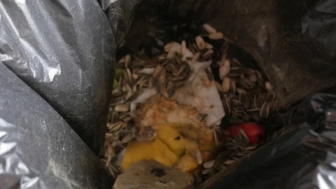 Opening a bread box and taking moldy bread Stock Footage 115834612