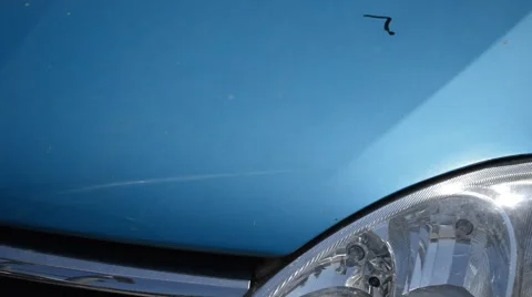 Opening of car Hood  Stock Footage 52689505