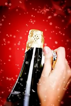 Opening champagne bottle 스톡 사진