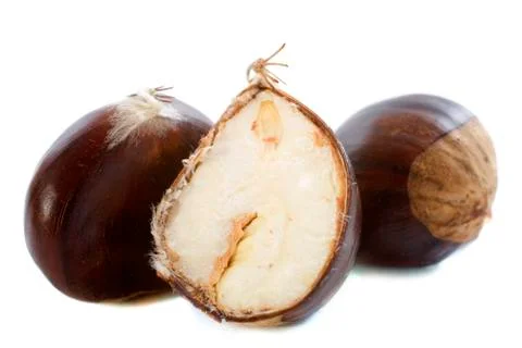 Opening chestnut Stock Photos