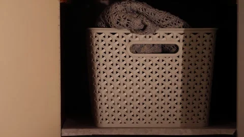 Opening cupboard with storage box Stock Footage 255999672