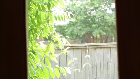 Opening curtains 2 Stock Footage 282480825