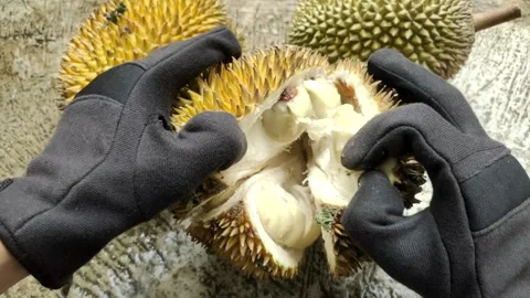 Opening Delicious King of Fruit Stock Footage 302534520