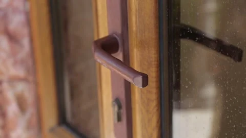 Opening the door 2 Stock Footage 317950062