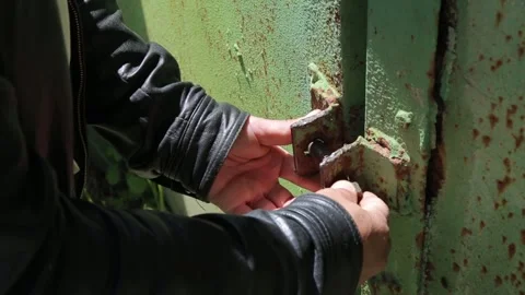 Opening the door 3 Stock Footage 317950064